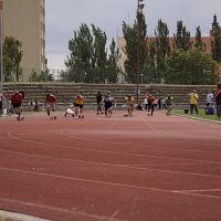 IMG 4579